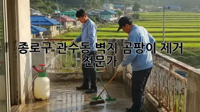 종로구 관수동 벽지 곰팡이 제거 전문가